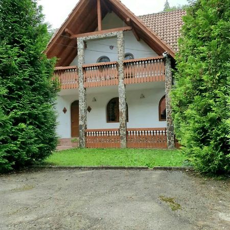 Vila Luca'S Cîrţişoara エクステリア 写真