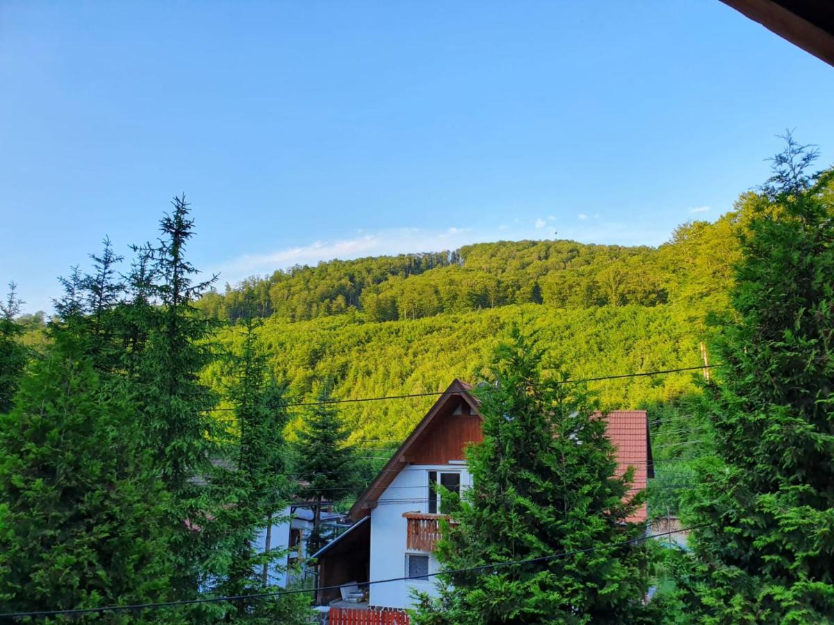 Vila Luca'S Cîrţişoara エクステリア 写真