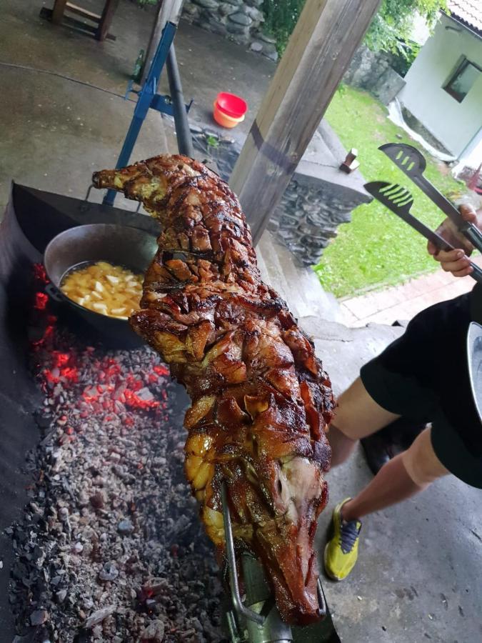 Vila Luca'S Cîrţişoara エクステリア 写真