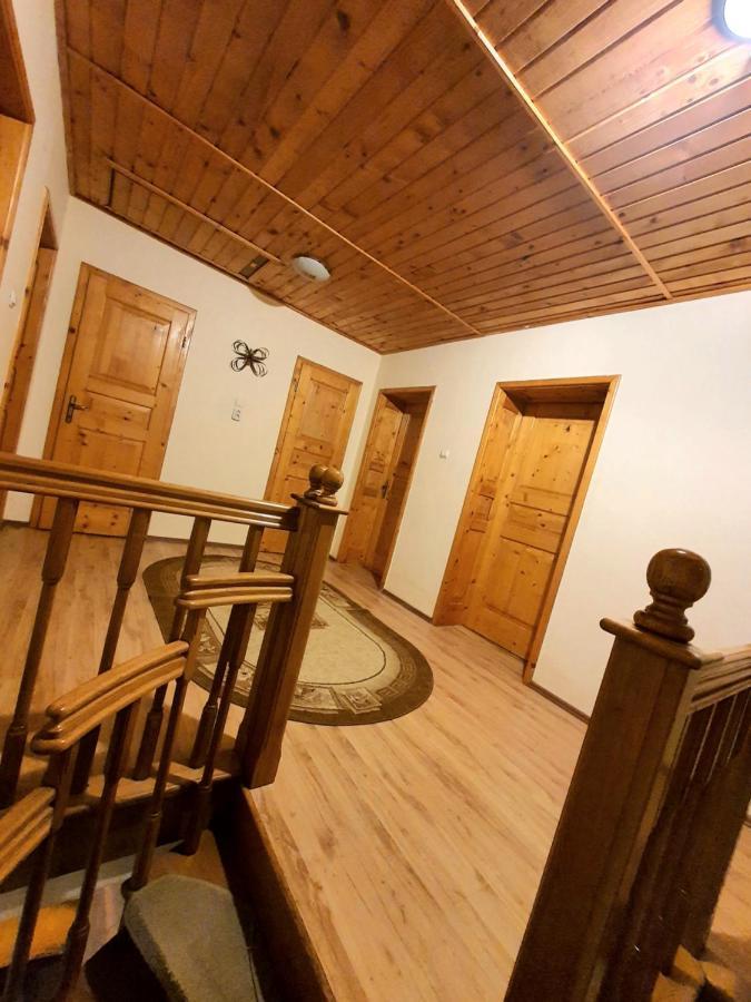 Vila Luca'S Cîrţişoara エクステリア 写真