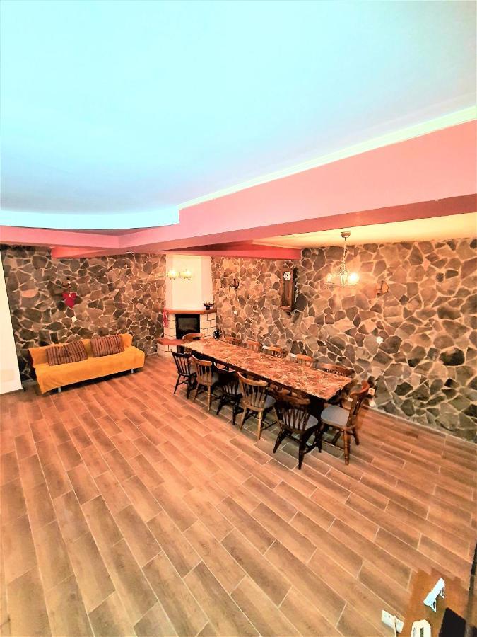 Vila Luca'S Cîrţişoara エクステリア 写真