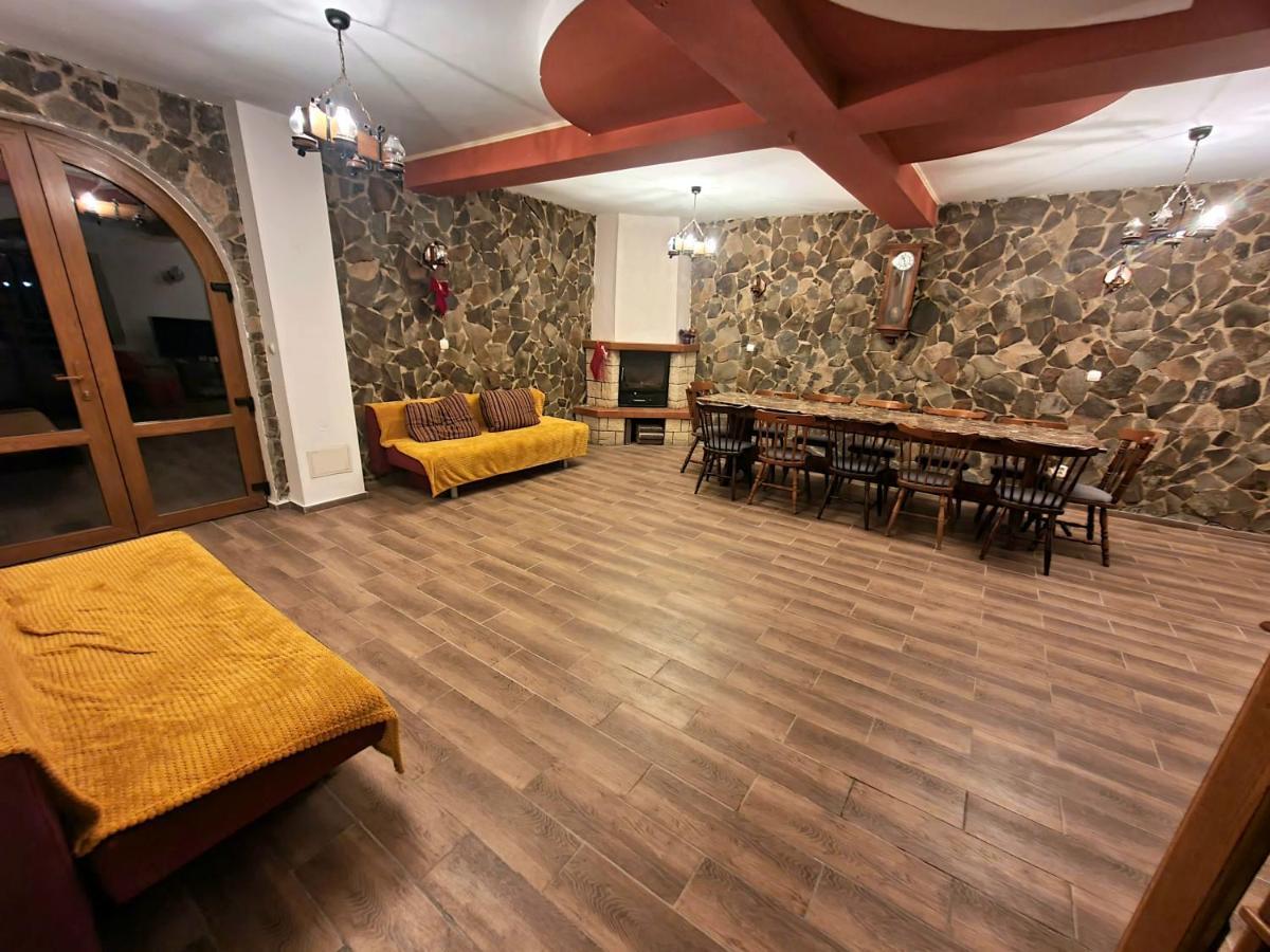 Vila Luca'S Cîrţişoara エクステリア 写真
