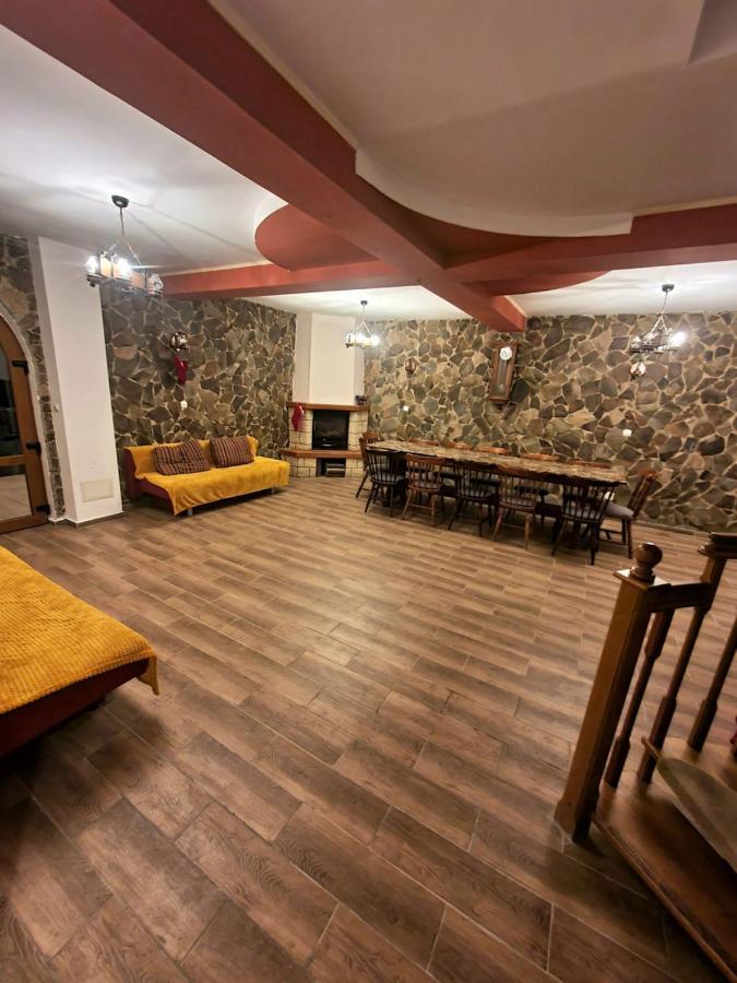 Vila Luca'S Cîrţişoara エクステリア 写真