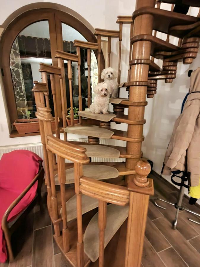 Vila Luca'S Cîrţişoara エクステリア 写真
