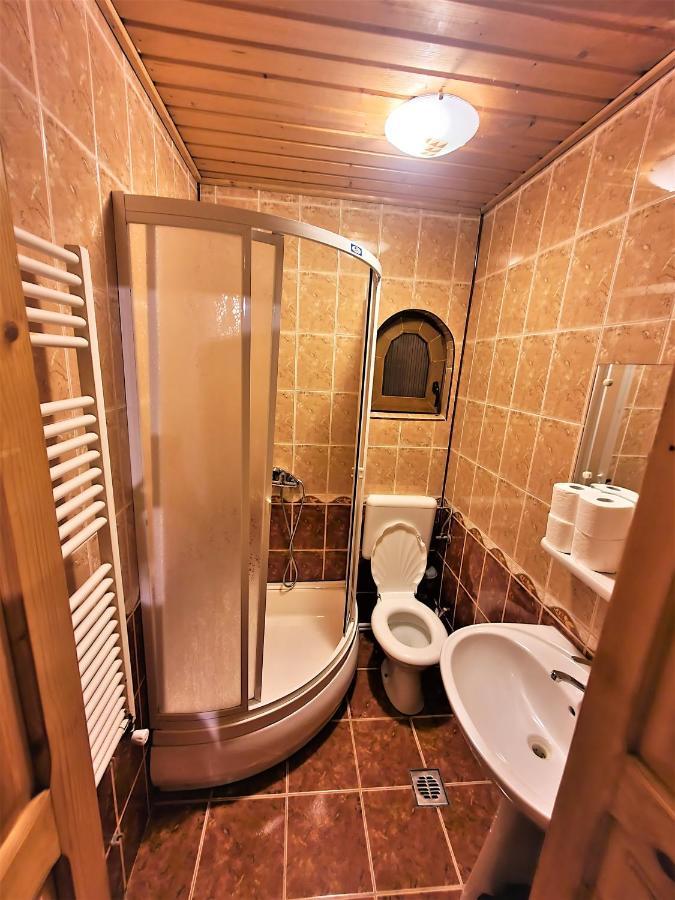 Vila Luca'S Cîrţişoara エクステリア 写真