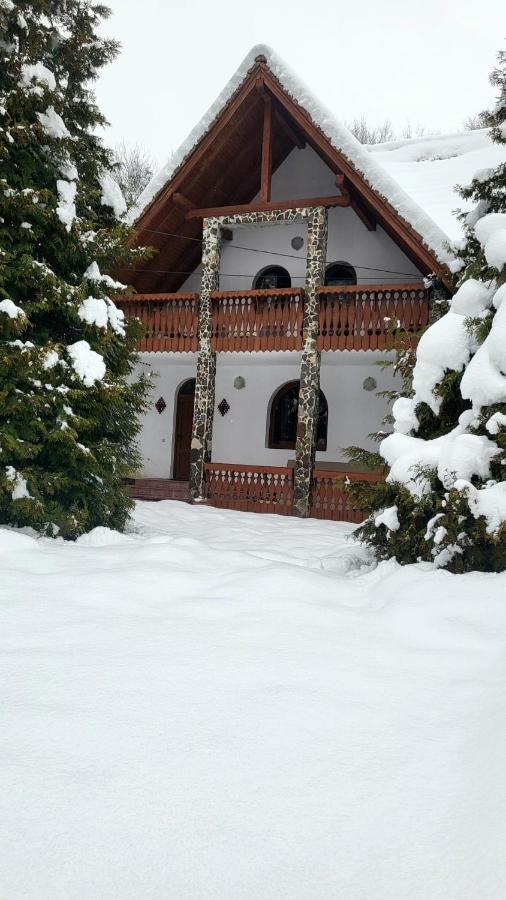 Vila Luca'S Cîrţişoara エクステリア 写真