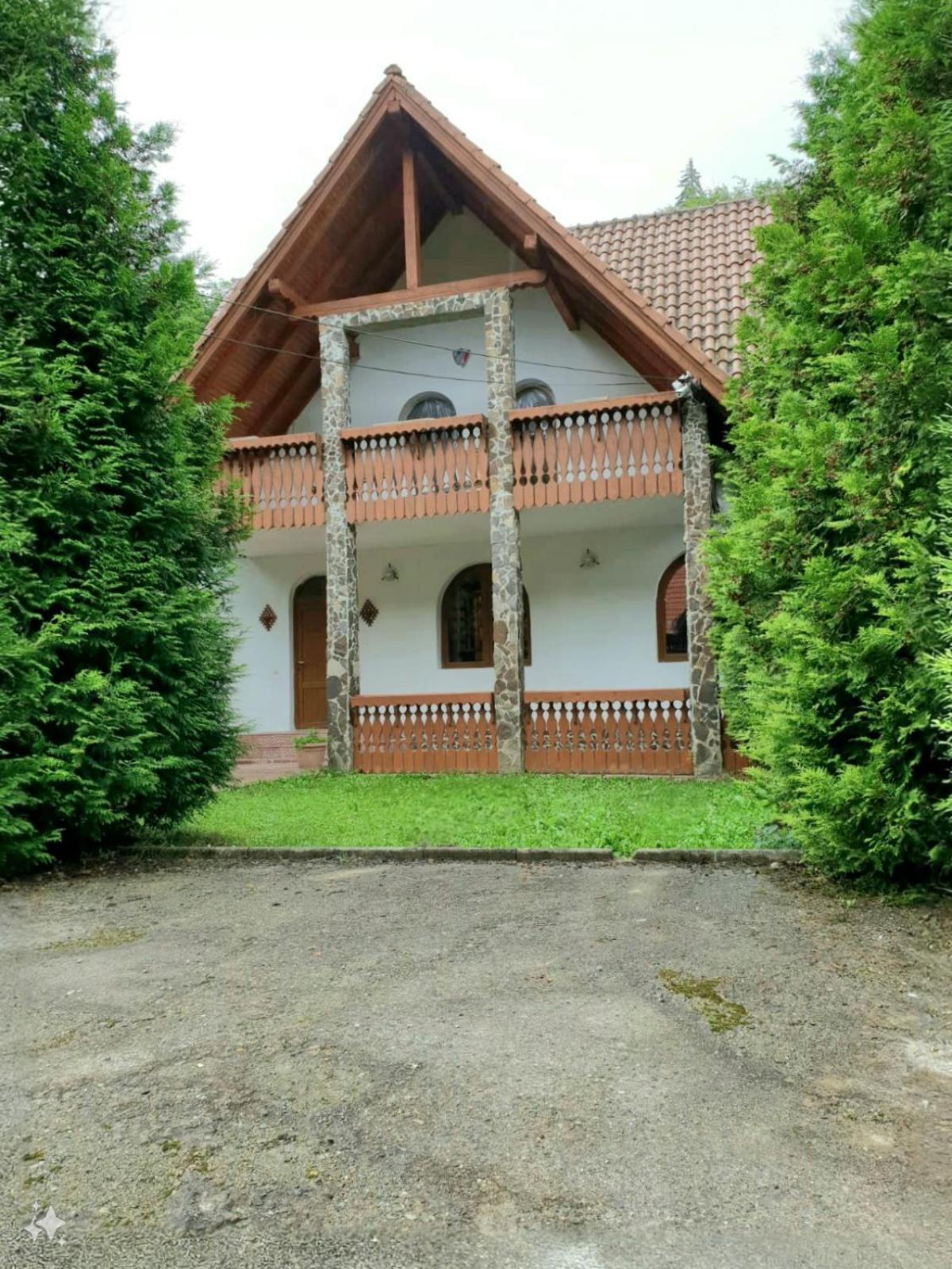Vila Luca'S Cîrţişoara エクステリア 写真