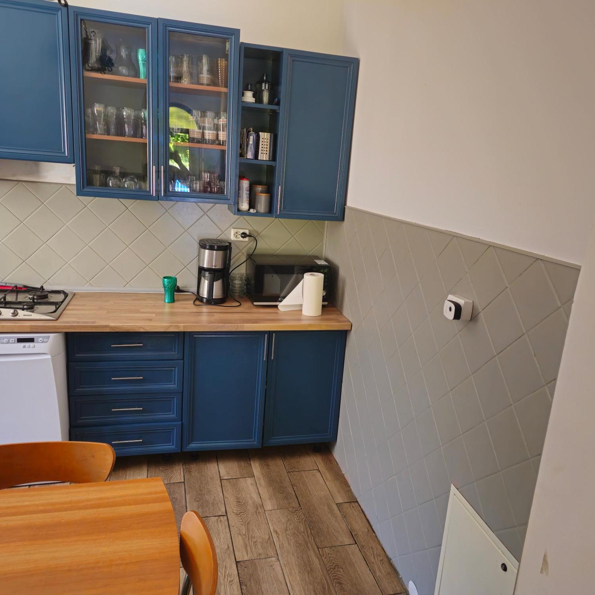 Vila Luca'S Cîrţişoara エクステリア 写真